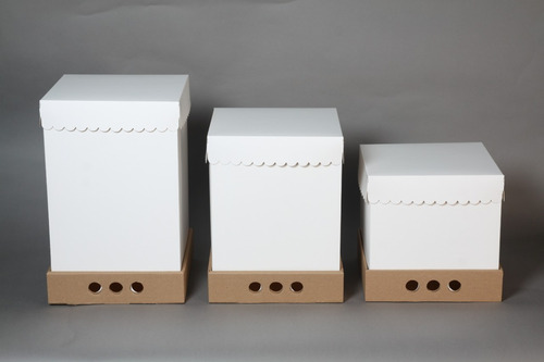 distribuidora embalaje- papelera